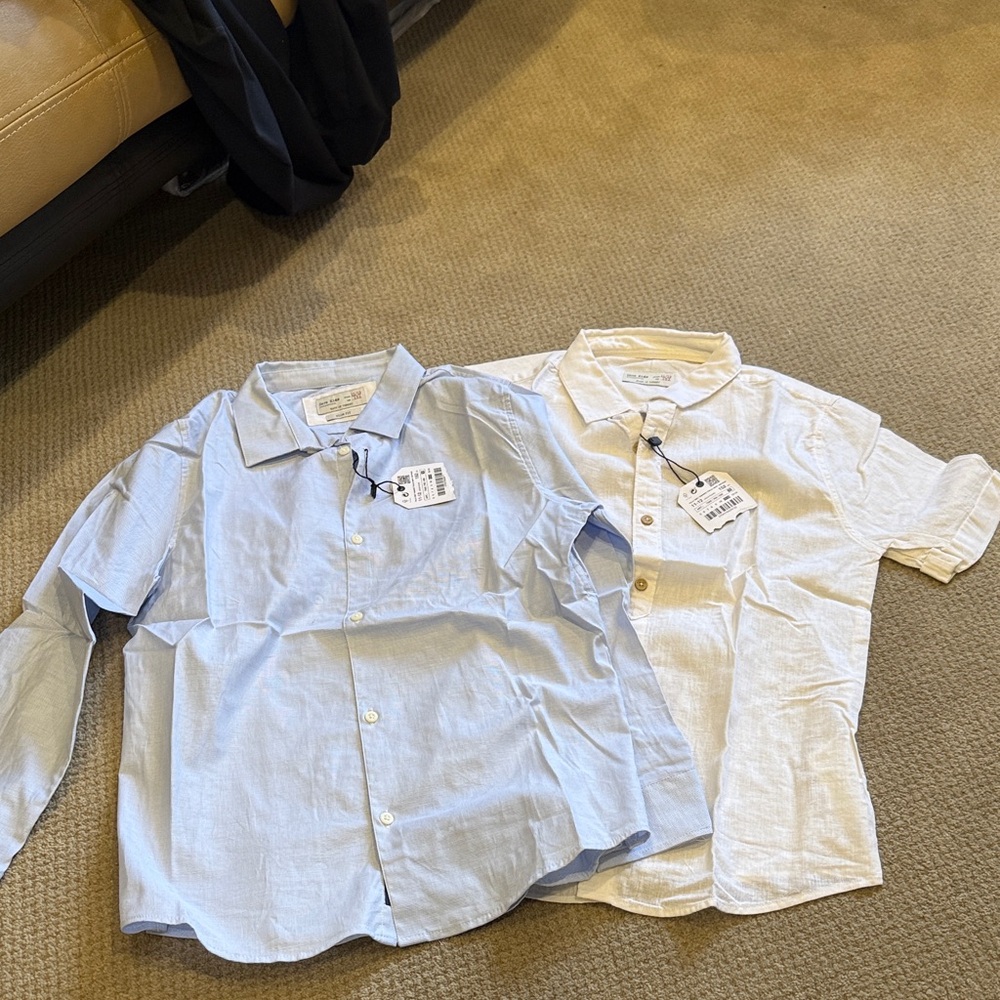 Zara Kids Blue and White Button Down Shirts